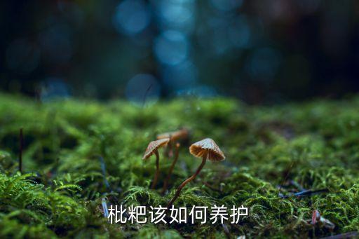 枇杷是什么管理是農藥