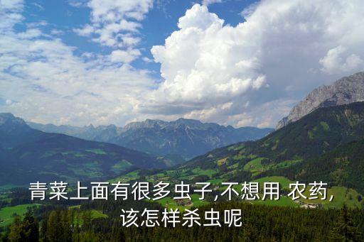 青菜上面有很多蟲子,不想用 農藥,該怎樣殺蟲呢