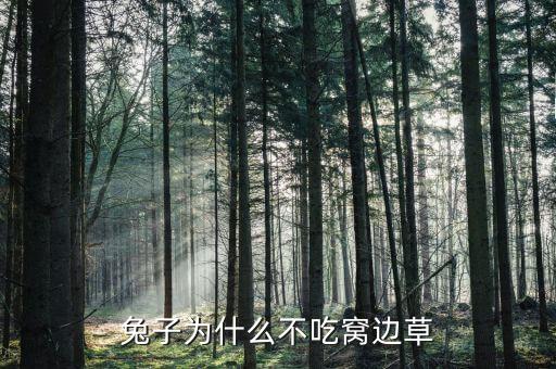 兔子為什么不吃窩邊草