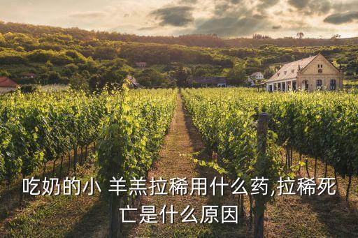 用什么農藥能殺死羊羔