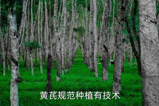 種黃芪怕什么農藥殘留呀,黃芪農藥殘留的去除方法