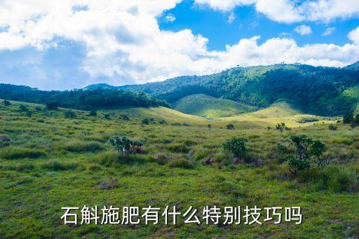  石斛施肥有什么特別技巧嗎