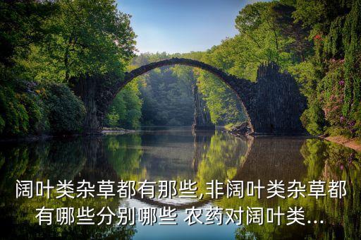 闊葉類雜草都有那些,非闊葉類雜草都有哪些分別哪些 農藥對闊葉類...