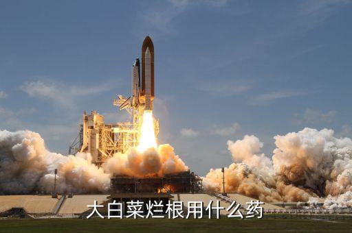 蔬菜爛了打什么農藥好,洗蔬菜用什么洗去農藥