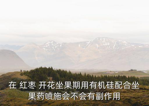 在 紅棗 開花坐果期用有機硅配合坐果藥噴施會不會有副作用
