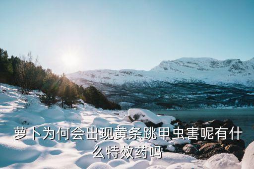  蘿卜為何會出現黃條跳甲蟲害呢有什么特效藥嗎
