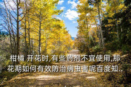 柑橘 開花時,有些藥劑不宜使用,那花期如何有效防治病蟲害呢百度知...