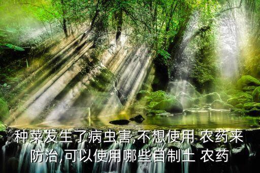 種菜發(fā)生了病蟲害,不想使用 農(nóng)藥來防治,可以使用哪些自制土 農(nóng)藥