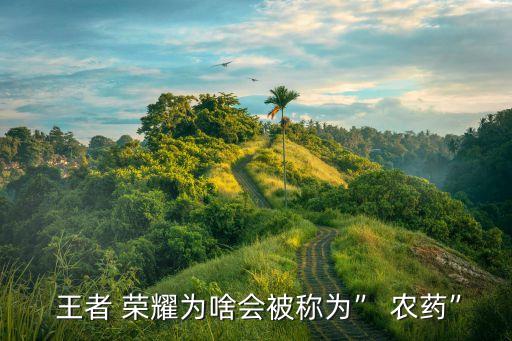  王者 榮耀為啥會被稱為” 農藥”