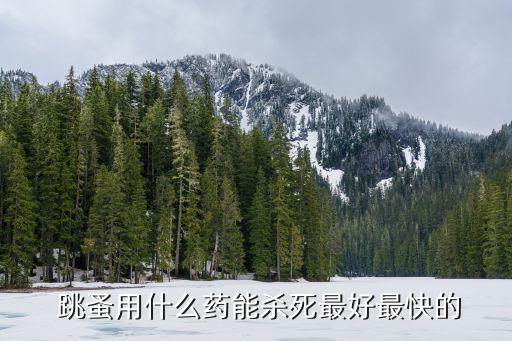  跳蚤用什么藥能殺死最好最快的