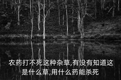  農(nóng)藥打不死這種雜草,有沒有知道這是什么草,用什么藥能殺死