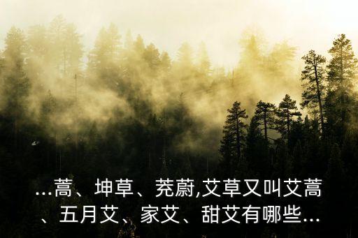 ...蒿、坤草、茺蔚,艾草又叫艾蒿、五月艾、家艾、甜艾有哪些...