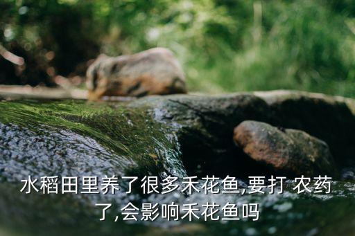 水稻田里養了很多禾花魚,要打 農藥了,會影響禾花魚嗎