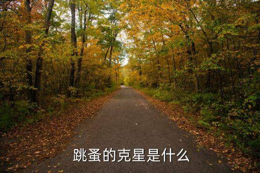  跳蚤的克星是什么