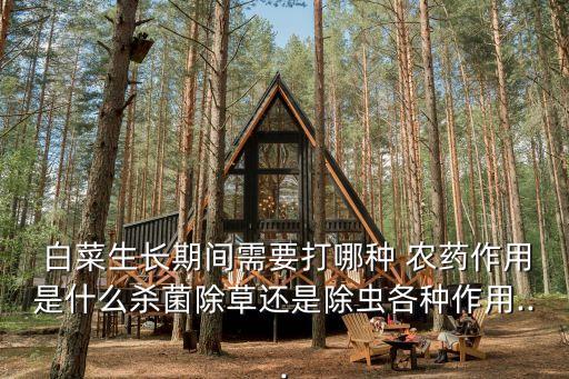 大棚白菜什么時(shí)候打農(nóng)藥,白菜噴農(nóng)藥在一天中什么時(shí)候
