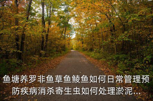 魚塘養(yǎng)羅非魚草魚鯪魚如何日常管理預(yù)防疾病消殺寄生蟲如何處理淤泥...