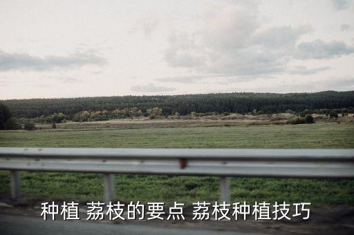 荔枝蒂蛀蟲(chóng)噴什么農(nóng)藥好