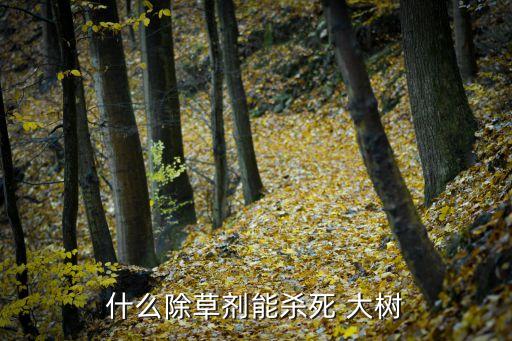 用什么農藥灌能滅大樹