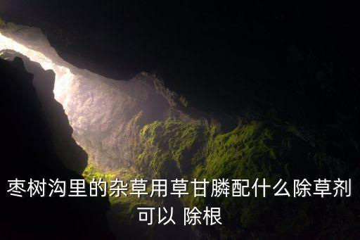 棗樹溝里的雜草用草甘膦配什么除草劑可以 除根