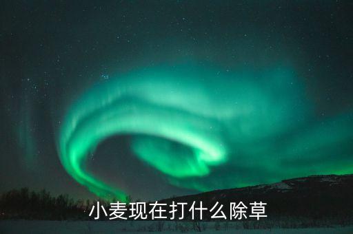 小麥噴農(nóng)藥用什么好使呢,什么農(nóng)藥能把小麥打死
