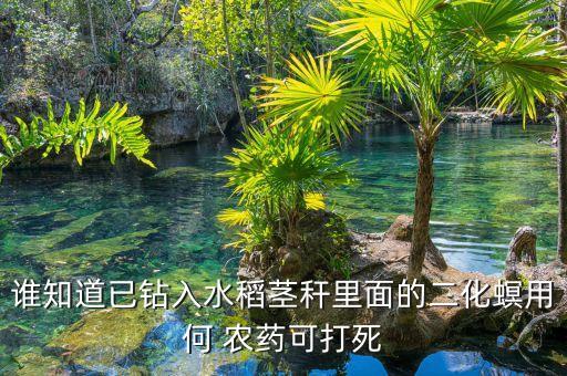 農(nóng)藥福戈什么成分,福戈農(nóng)藥