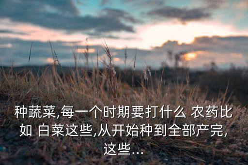 種蔬菜,每一個時期要打什么 農藥比如 白菜這些,從開始種到全部產完,這些...