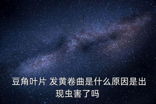  豆角葉片 發黃卷曲是什么原因是出現蟲害了嗎
