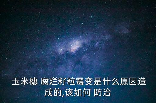 玉米穗 腐爛籽粒霉變是什么原因造成的,該如何 防治