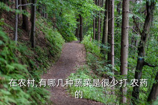 在農村,有哪幾種蔬菜是很少打 農藥的