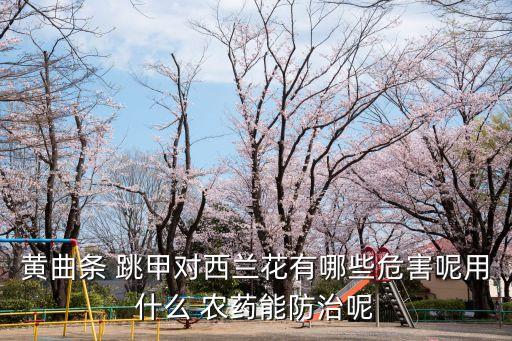 用什么農(nóng)藥才能殺死跳甲,什么農(nóng)藥專治跳甲