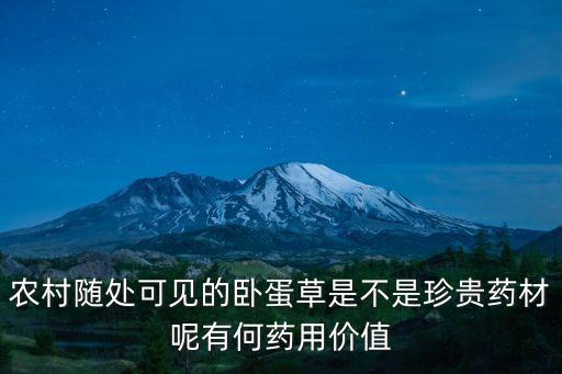 什么農(nóng)藥除地錦草效果好,地錦草抗病毒效果好嗎