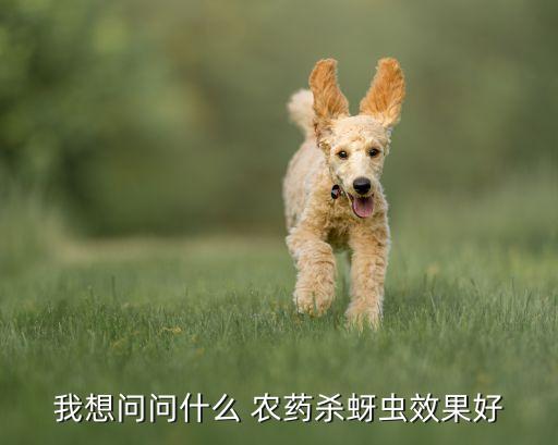 我想問問什么 農藥殺蚜蟲效果好