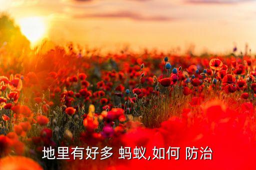 地里有好多 螞蟻,如何 防治