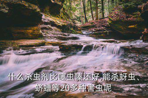 農藥殺蟲子的什么最厲害,花盆有蟲子用什么農藥