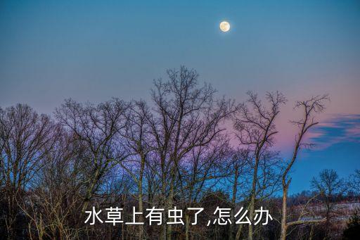 鋒格農(nóng)藥治什么蟲,喝農(nóng)藥治好后有什么后遺癥