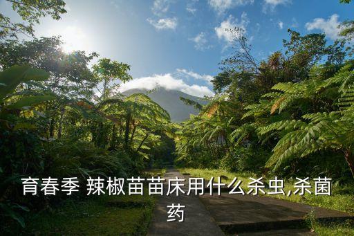 辣椒定植之后打什么農藥