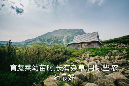 農藥除草用什么藥最好,打農藥除草什么時候打最好