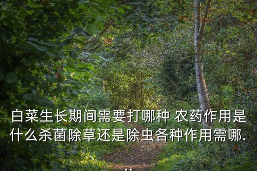 白菜生長期間需要打哪種 農藥作用是什么殺菌除草還是除蟲各種作用需哪...