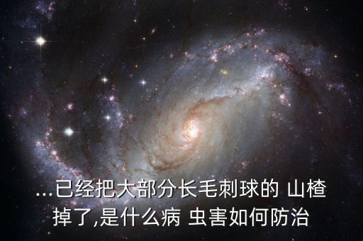 ...已經把大部分長毛刺球的 山楂掉了,是什么病 蟲害如何防治