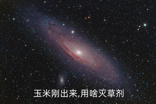  玉米剛出來,用啥滅草劑