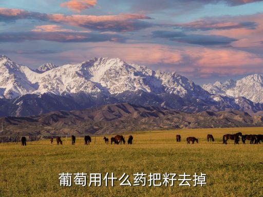  葡萄用什么藥把籽去掉