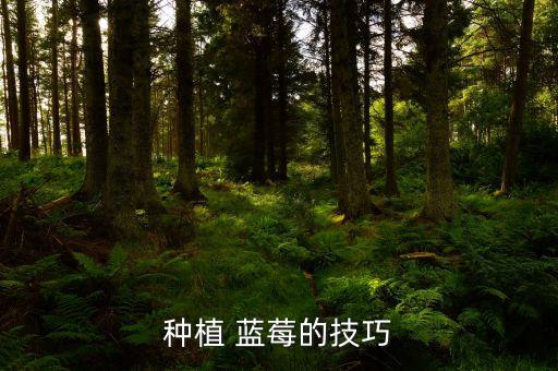 藍莓一般噴什么農藥,藍莓用什么農藥