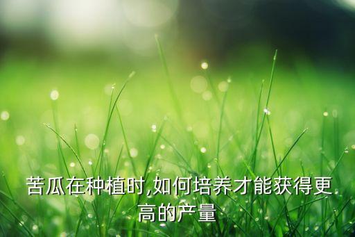  苦瓜在種植時,如何培養才能獲得更高的產量