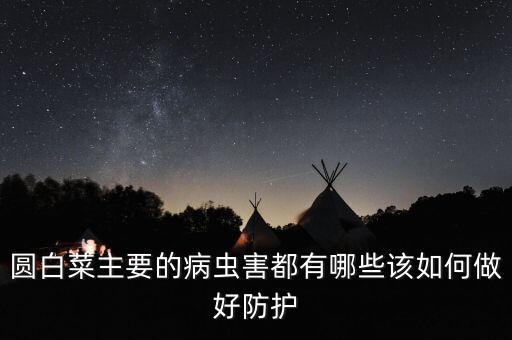 圓白菜主要的病蟲害都有哪些該如何做好防護