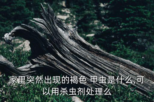 殺黃背甲蟲用什么農藥