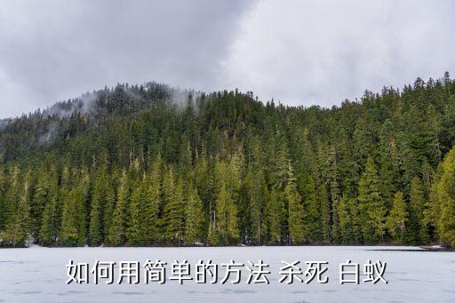有什么農(nóng)藥能殺死白蟻,蝸牛用什么農(nóng)藥可以殺死