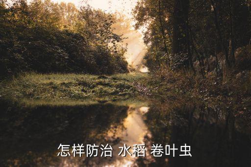 水稻卷葉蟲殺什么農(nóng)藥,防治水稻卷葉蟲最好是什么農(nóng)藥