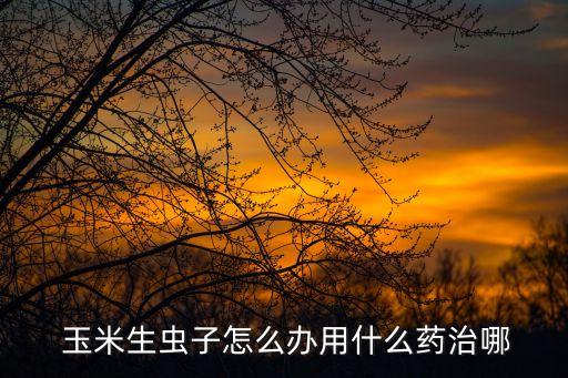  玉米生蟲子怎么辦用什么藥治哪