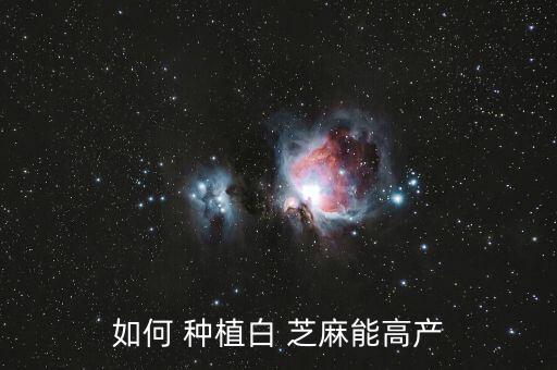 如何 種植白 芝麻能高產