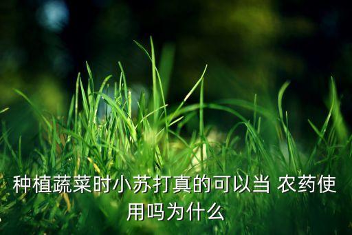 什么農(nóng)藥可以種地